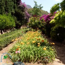 Jardines de Alfabia