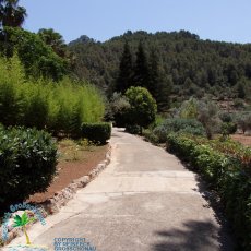 Jardines de Alfabia