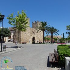 Alcudia