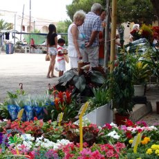 Colonia Sant Pere